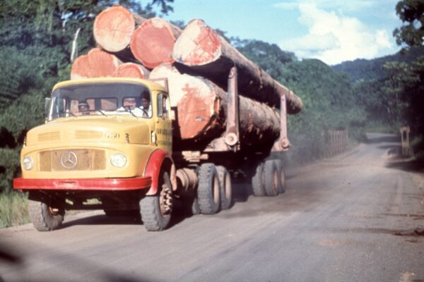 A yellow timber truck loaded with large logs drives on a gravel road through forest in Gabon in 1979