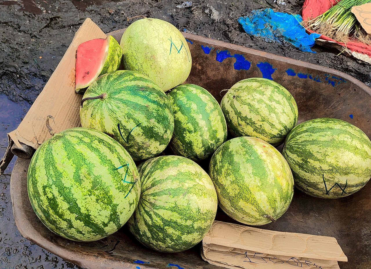 Eight watermelons and a cut slice in a worn wheelbarrow at a market stall, with cardboard and wet ground around it
