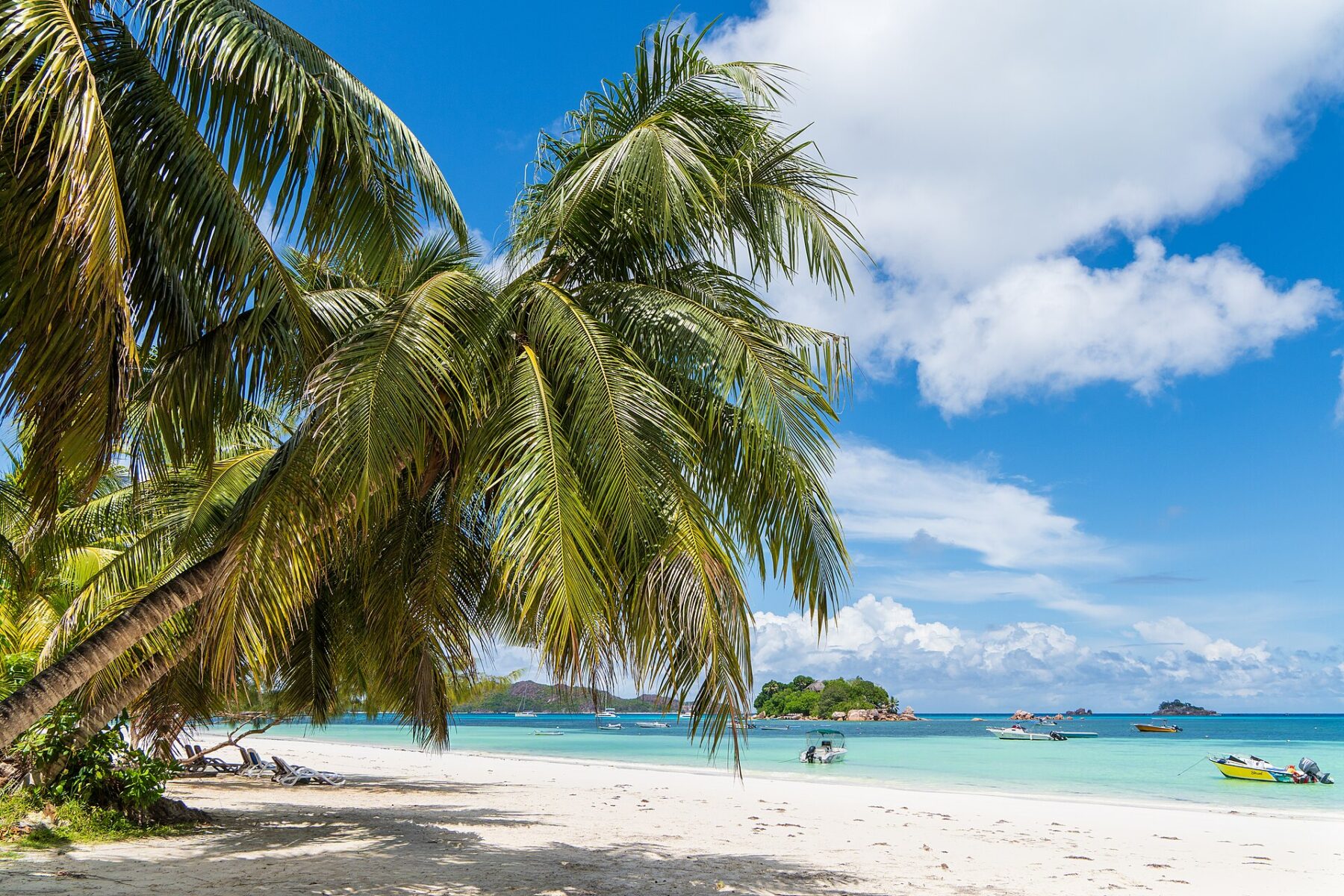 Leaning coconut palms over a white sand beach beside turquoise water, with small boats and green islets under a blue sky