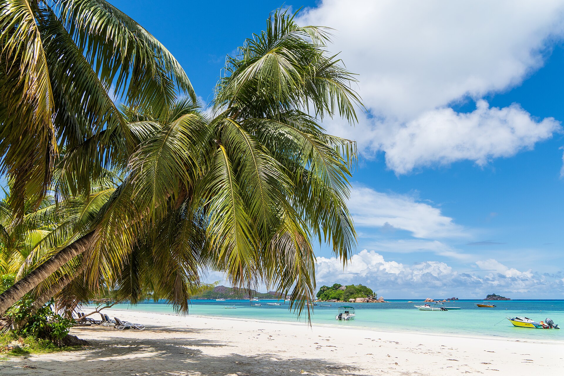 Leaning coconut palms over a white sand beach beside turquoise water, with small boats and green islets under a blue sky