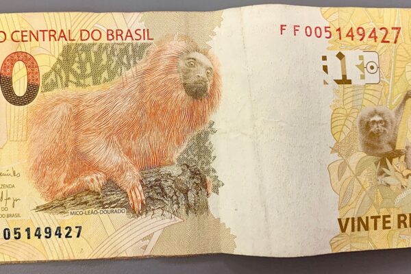 Brazilian real banknotes
