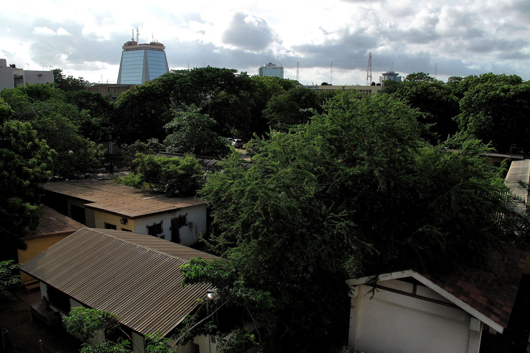 Rooftops and trees in central Accra, Ghana, with office towers on the skyline