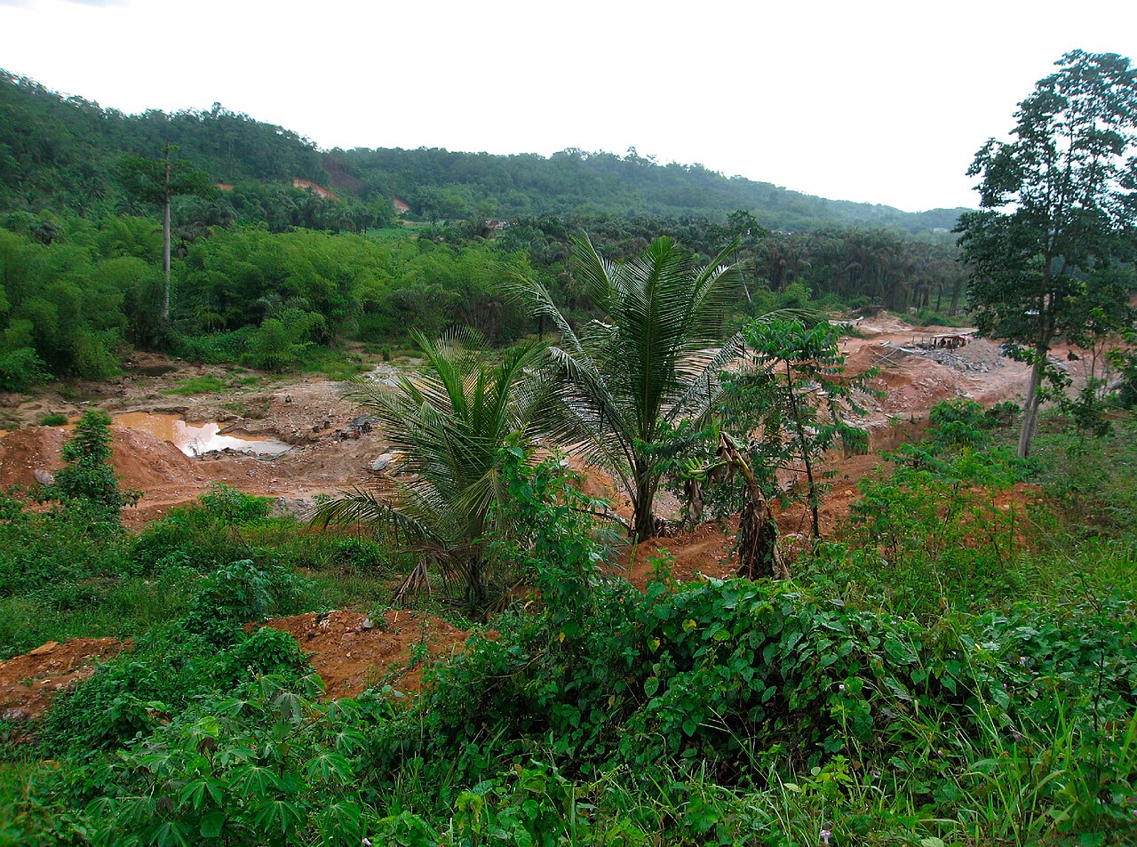 Patches of bare red earth and muddy pools cut into green bush and palm trees at a small-scale gold mining site near Tarkwa, Ghana