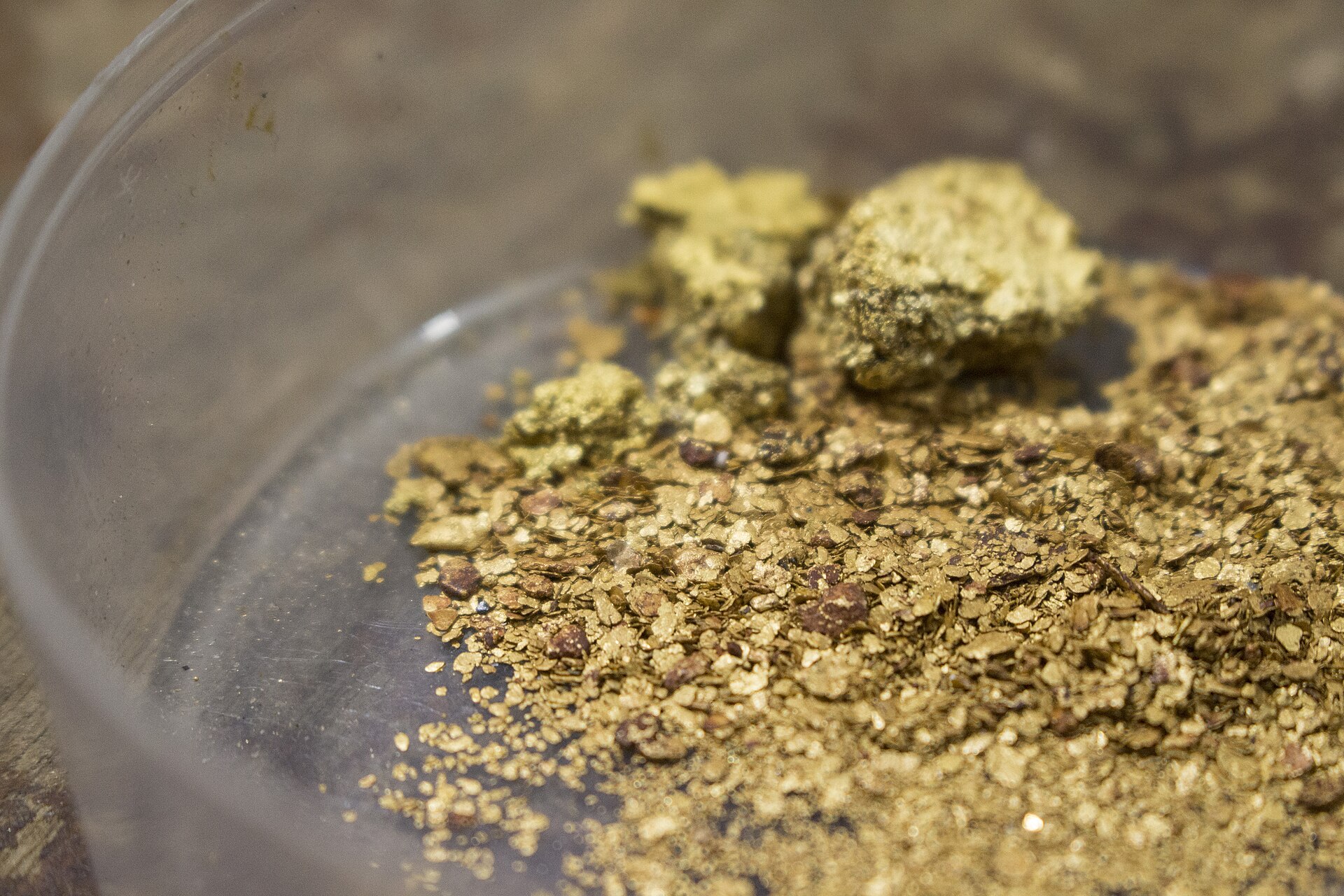 Gold flakes and small nuggets in a dish from the Guelmambí river in Barbacoas, Nariño, Colombia