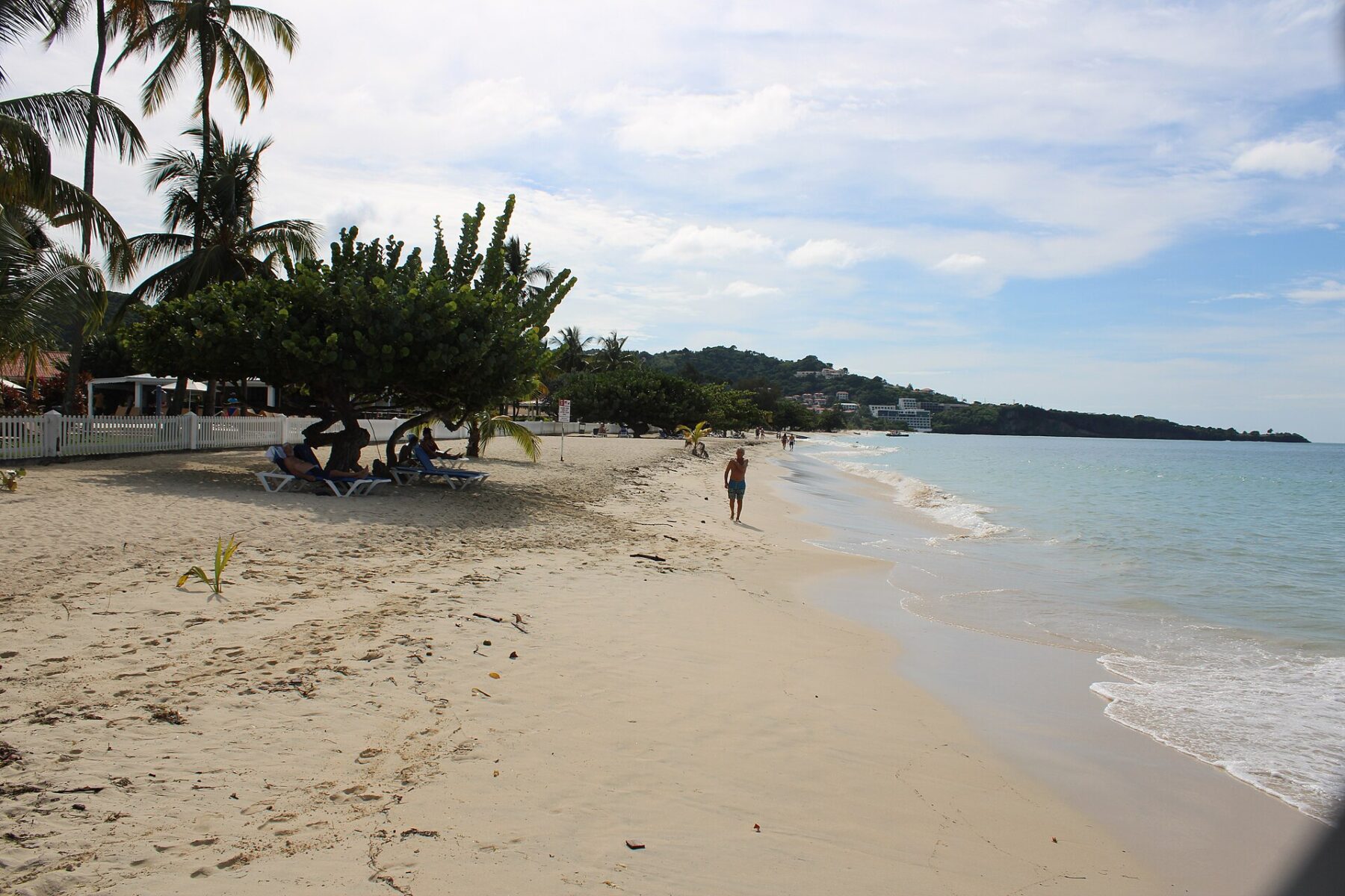 Grand Anse beach with palms and calm sea, St George's, Grenada