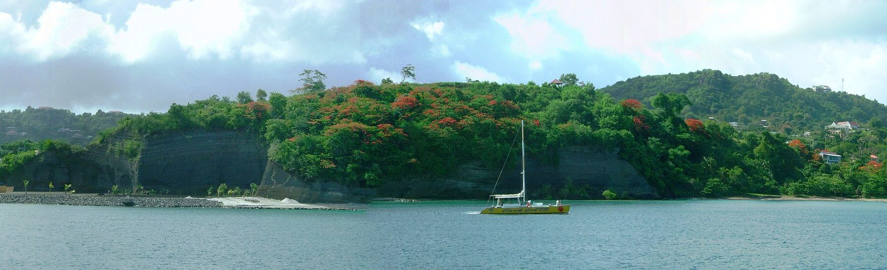 Catamaran in the waters off St George's, Grenada, with flame trees on the hillside