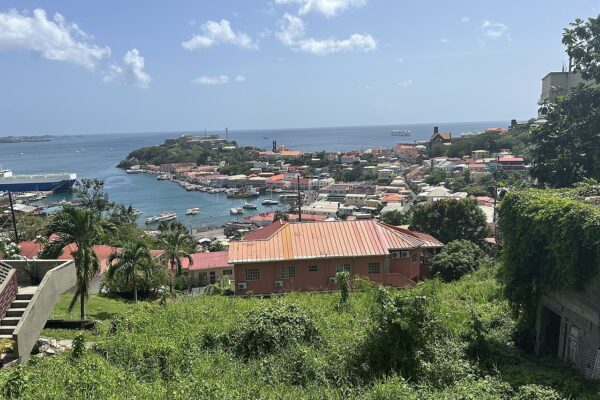 Colourful houses of St George's, Grenada's capital, slope down to the harbour with Fort George on the headland and a ship at the quay.