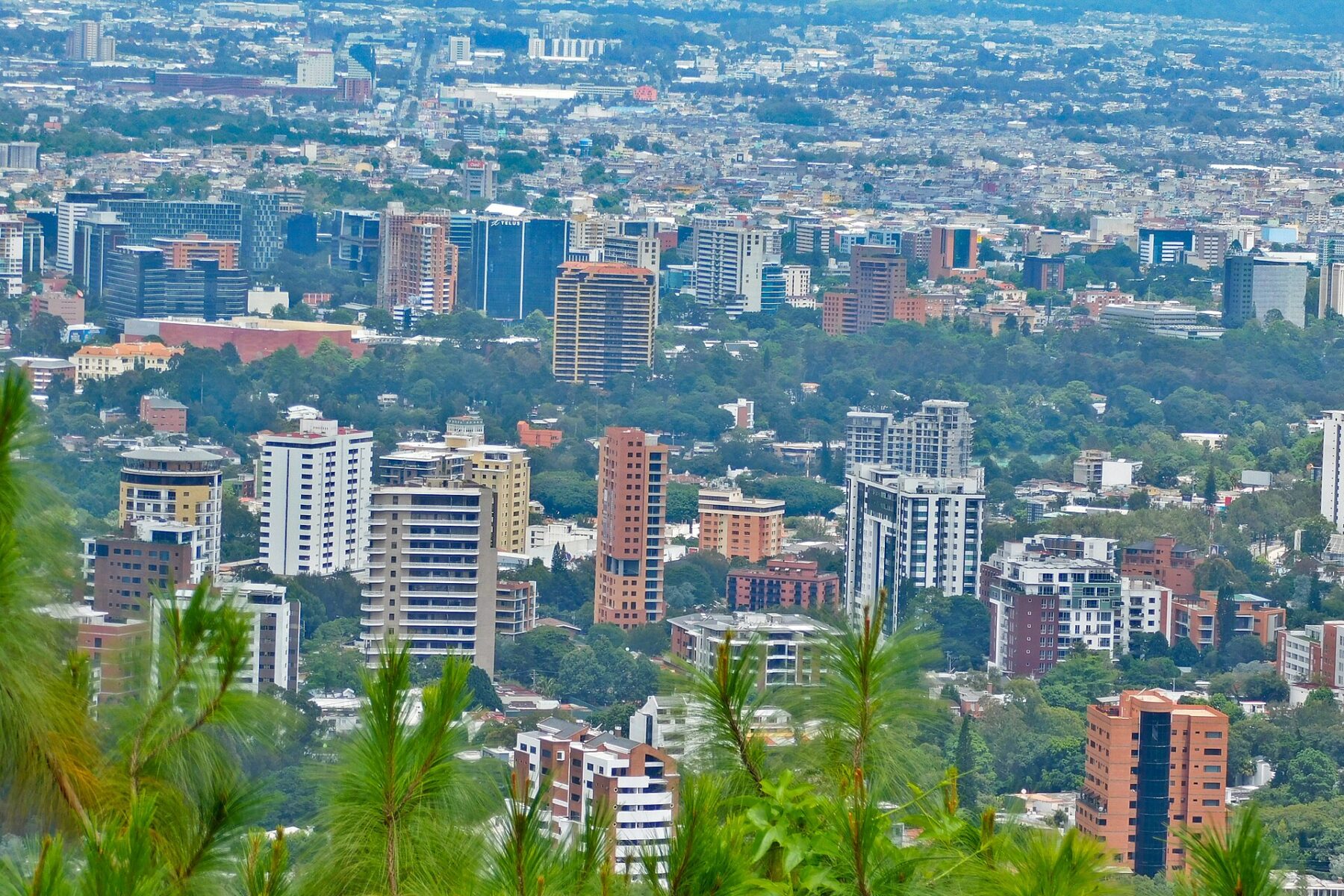 High-rise buildings in Zona 10 of Guatemala City seen from a hillside