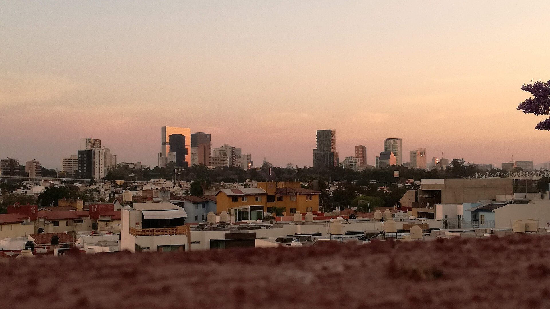 Office towers of Guadalajara's financial district rising above rooftops at sunset