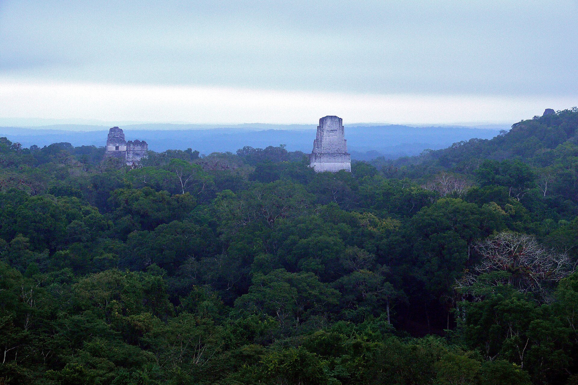 Stone temple tops rise above dense green rainforest under a hazy sky at Tikal National Park in Guatemala