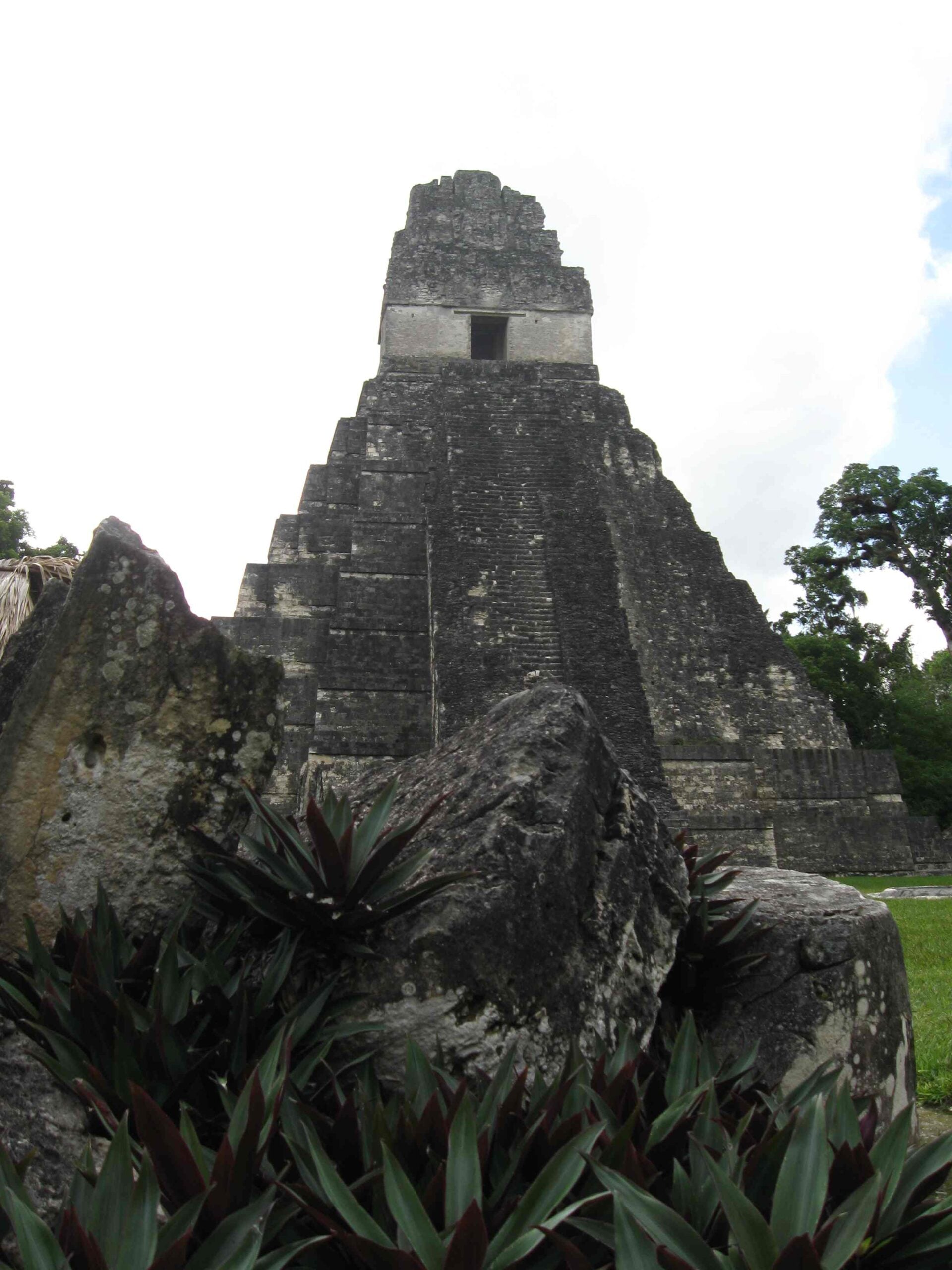 The stepped stone temple of Tikal, a Maya site in northern Guatemala, rising behind rocks and plants