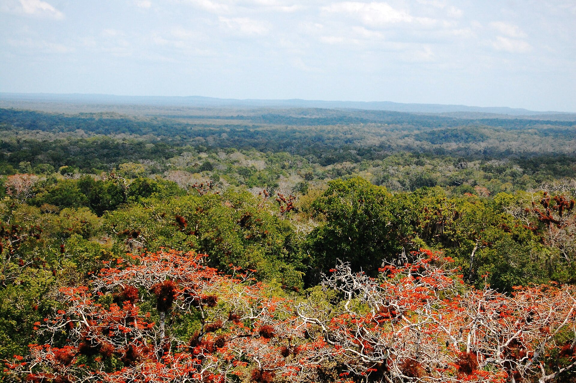 Guatemala Hosts US Scouts in Petén Ahead of A3C Drills