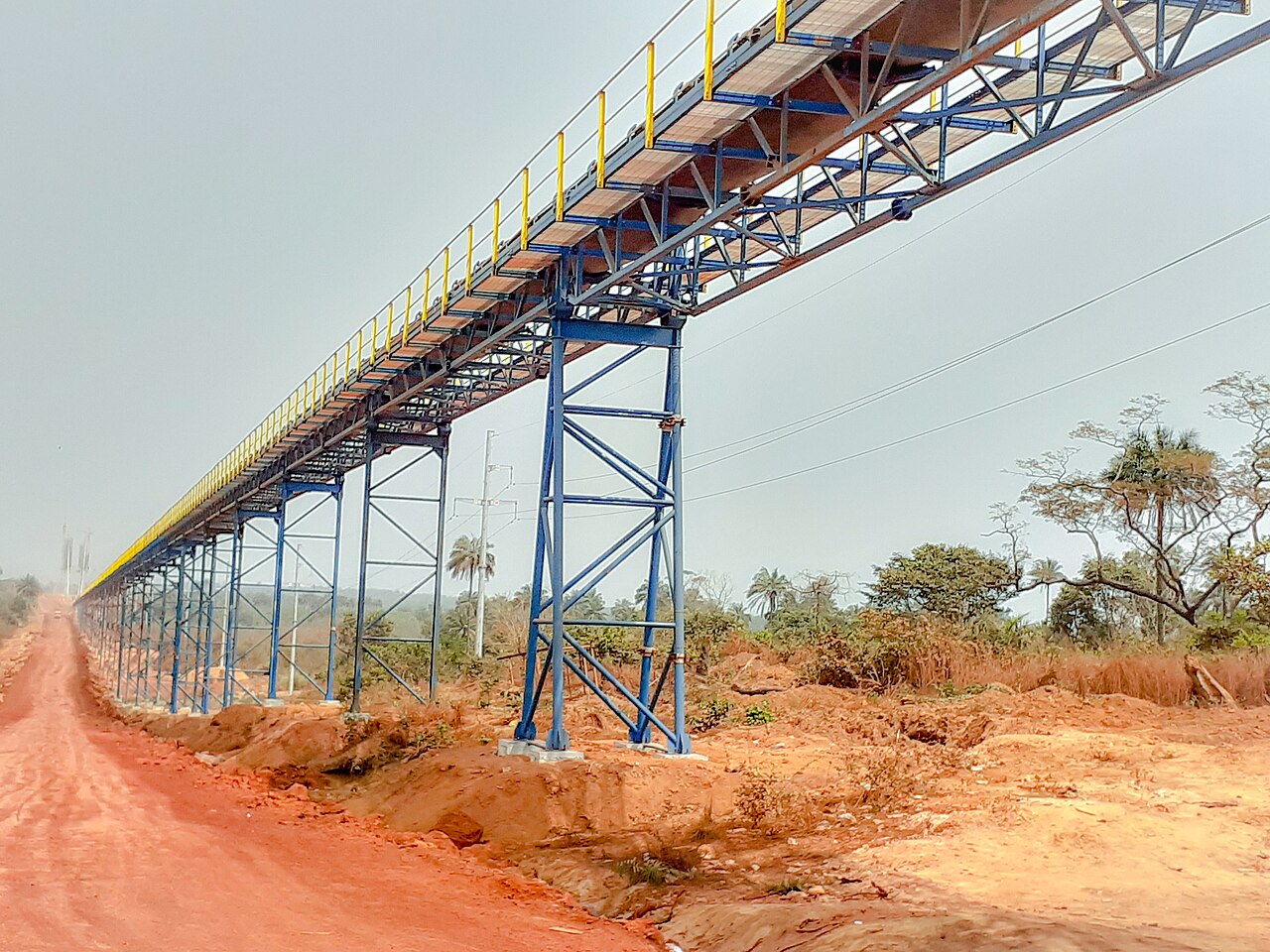 An elevated blue and yellow conveyor gantry runs alongside a red dirt road through green bush in Boffa, Guinea