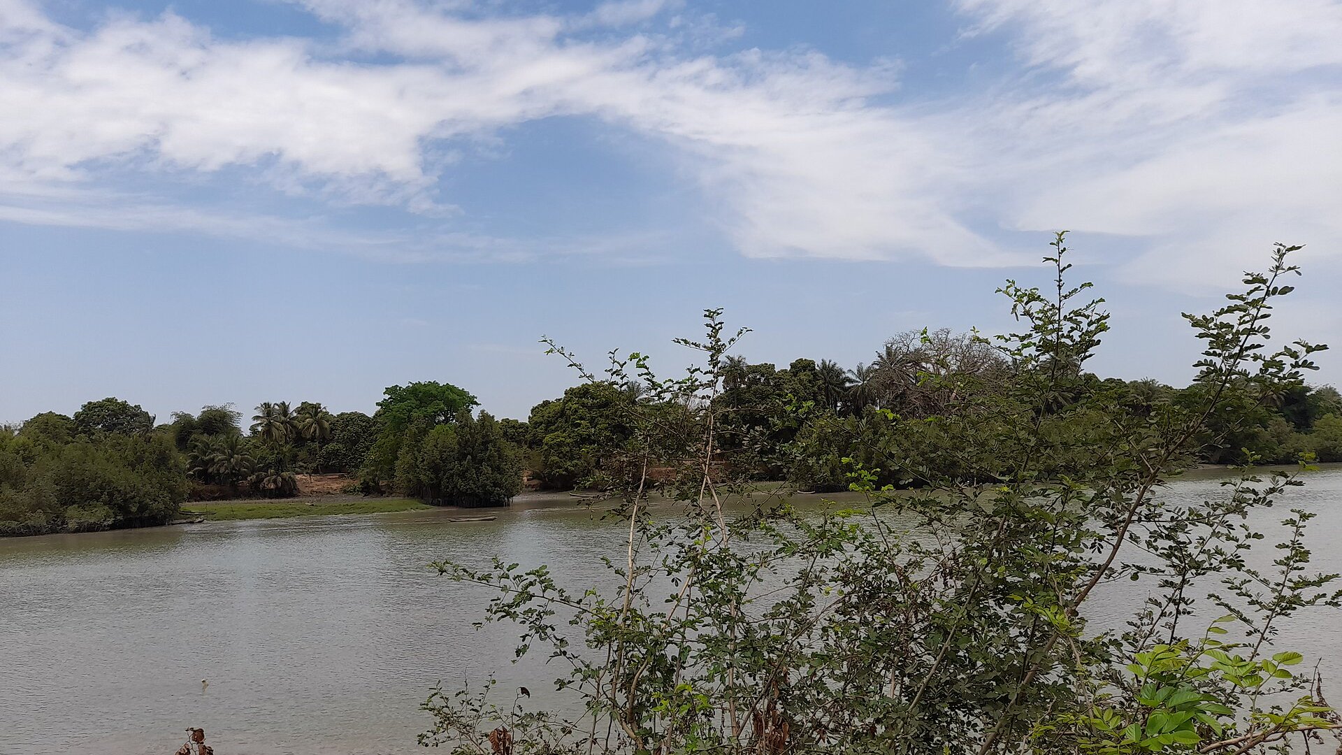 The Rio Nunez river at Boke in western Guinea, lined with mangroves and palm trees under a hazy sky.