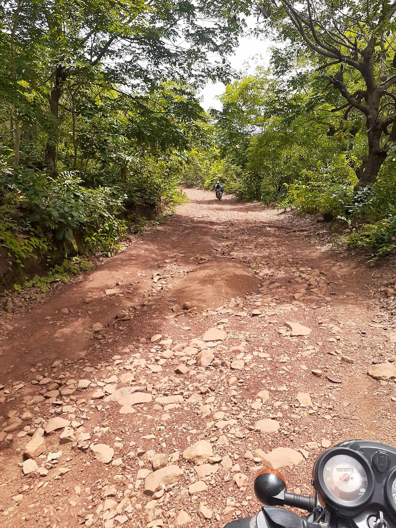 A rocky red-earth track through green woodland near Yali in the Fouta Djallon, with a motorbike rider ahead