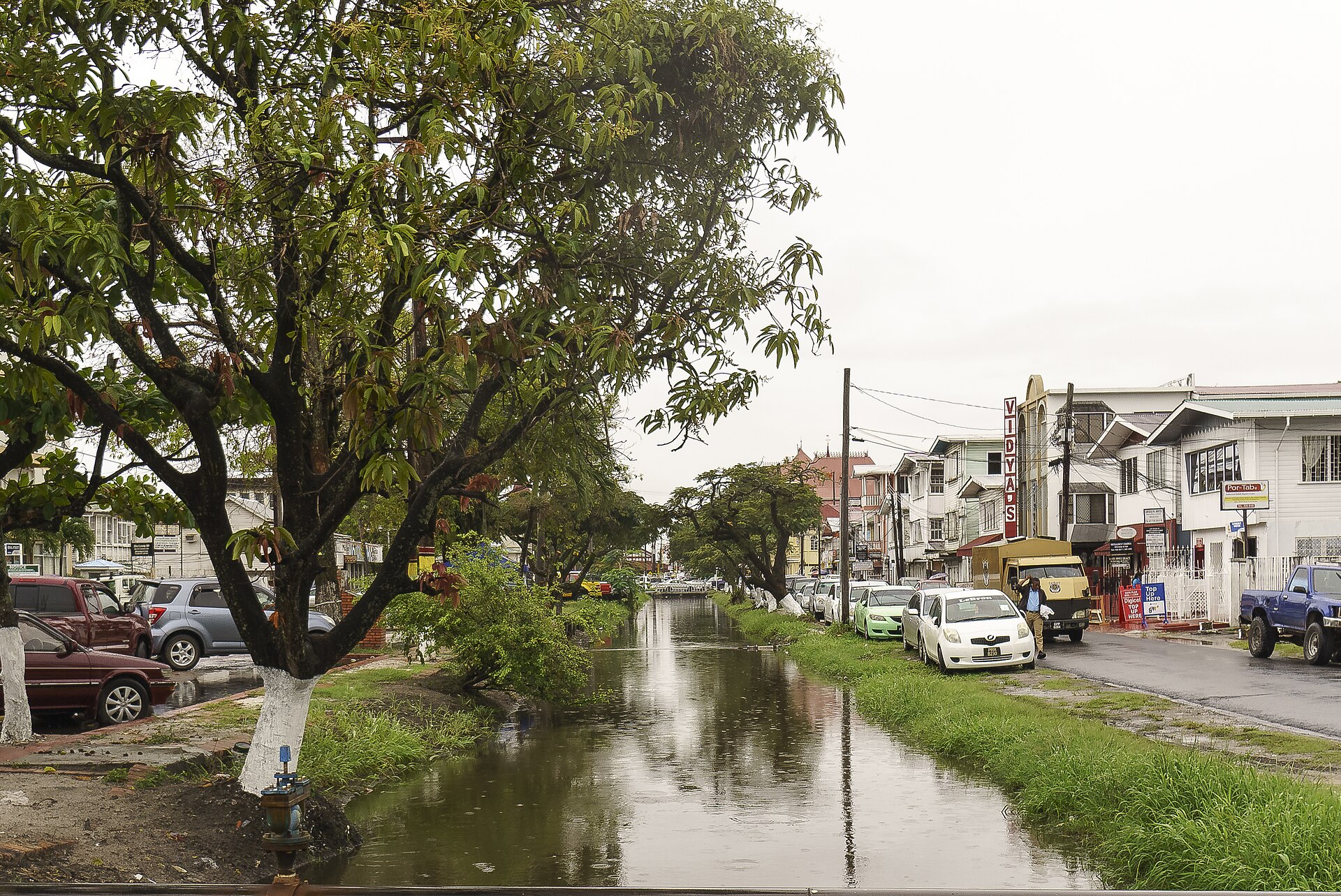 Tree-lined canal beside a street of wooden buildings and parked cars in Georgetown, Guyana