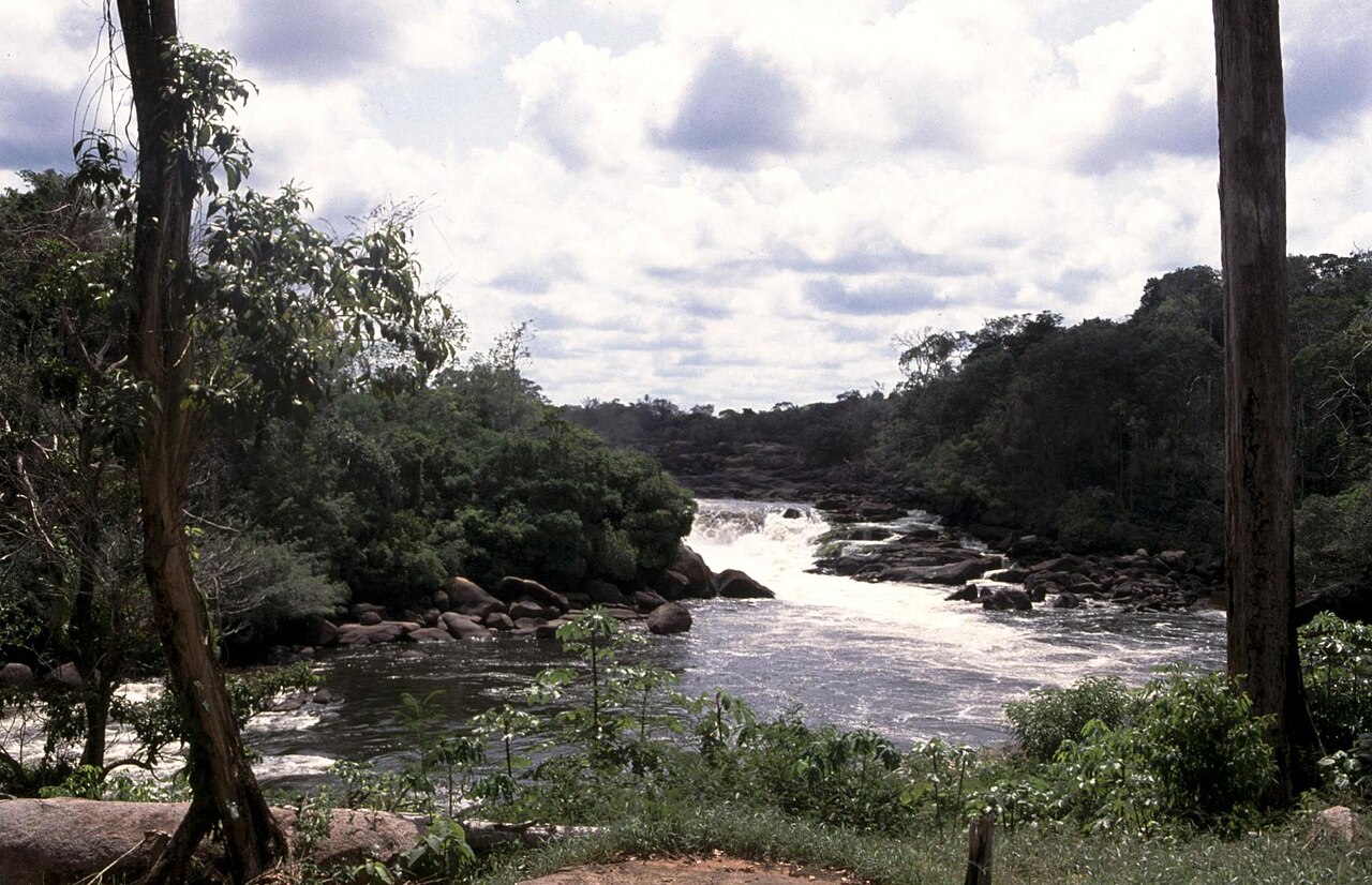 White-water rapids running between large boulders on a broad river framed by tropical forest and tree trunks