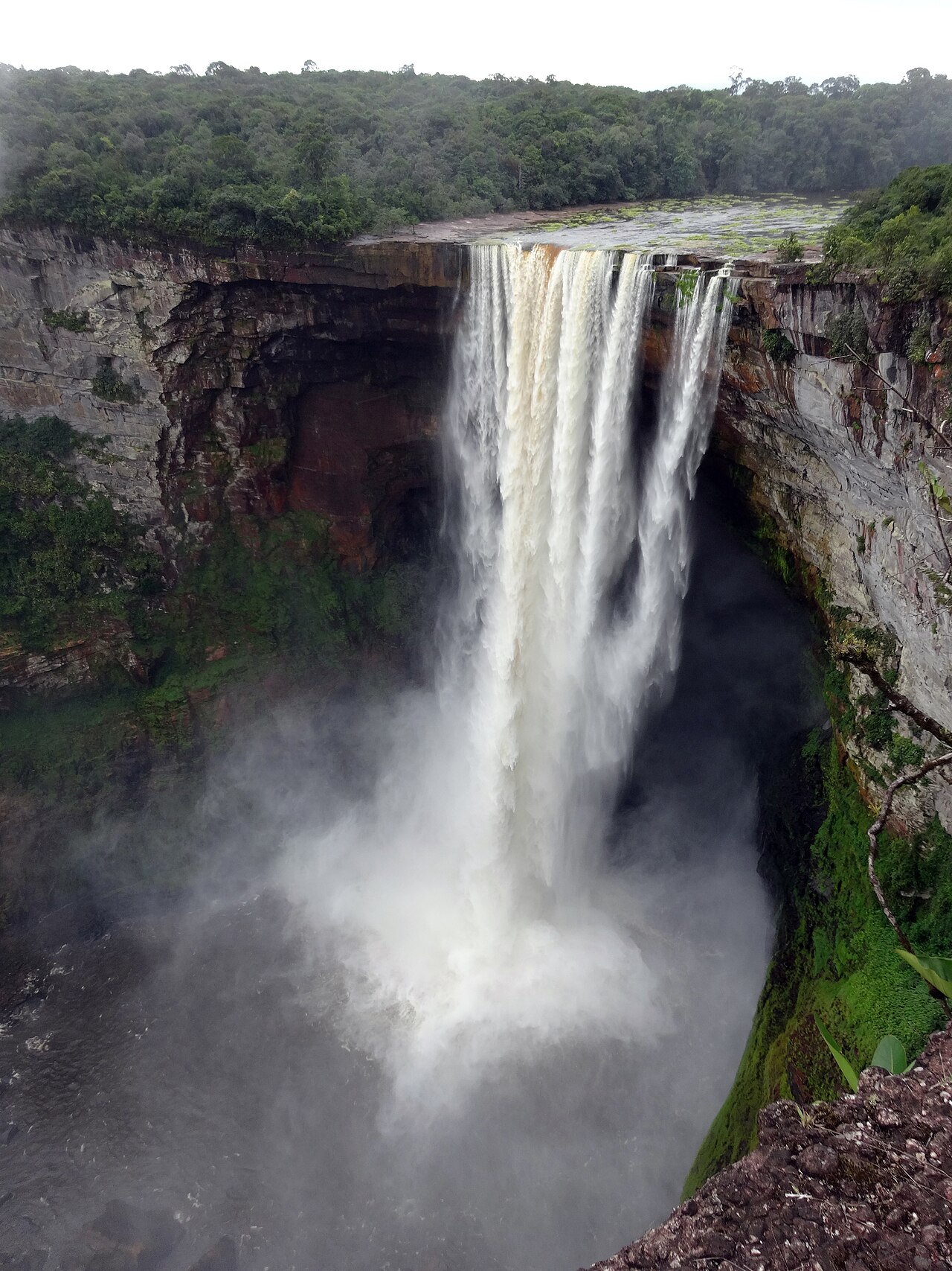 Kaieteur Falls plunging into a forested gorge in the Guyanese interior