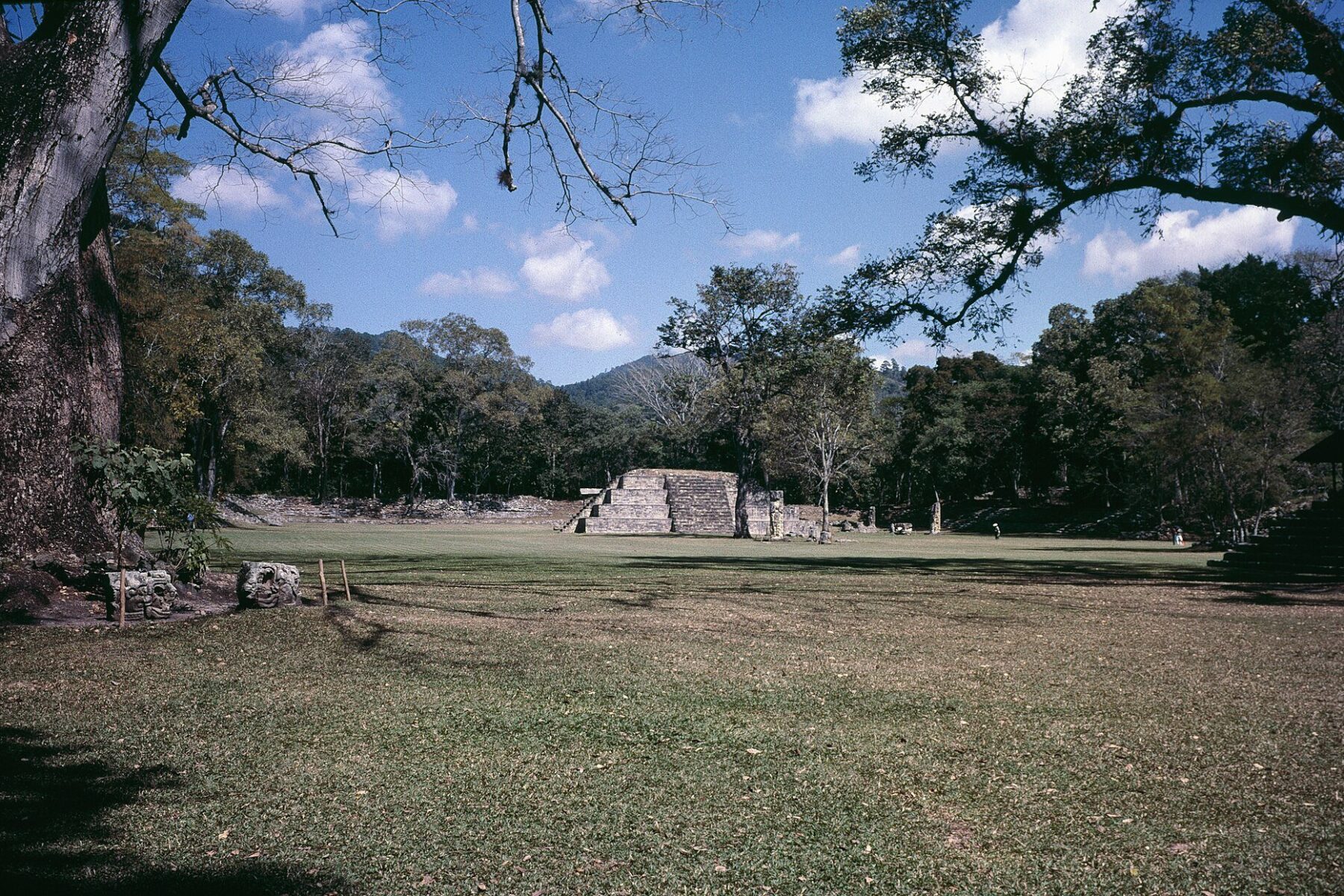Court of the stelae at the Maya site of Copán in Honduras with a stepped pyramid among trees