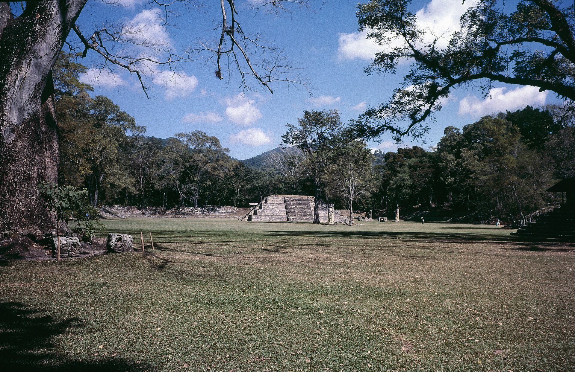 Court of the stelae at the Maya site of Copán in Honduras with a stepped pyramid among trees