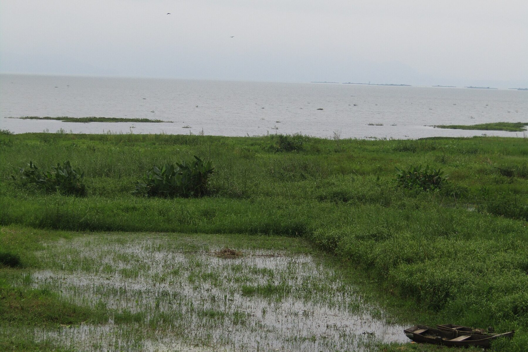 Flooded shoreline and a pair of small boats at Lake Yojoa, Honduras, during the rainy season