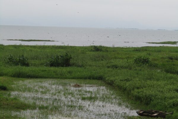Flooded shoreline and a pair of small boats at Lake Yojoa, Honduras, during the rainy season