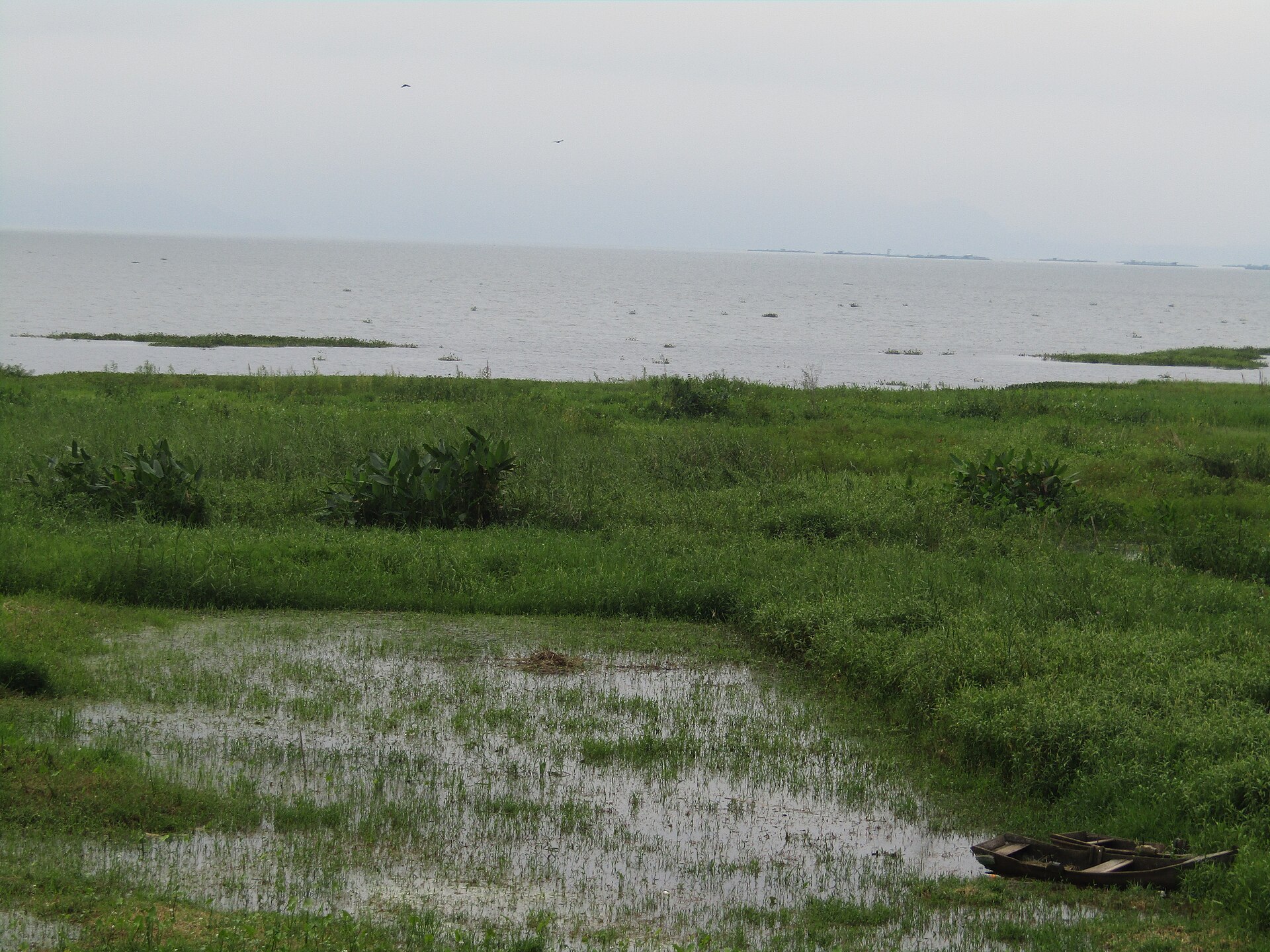 Flooded shoreline and a pair of small boats at Lake Yojoa, Honduras, during the rainy season