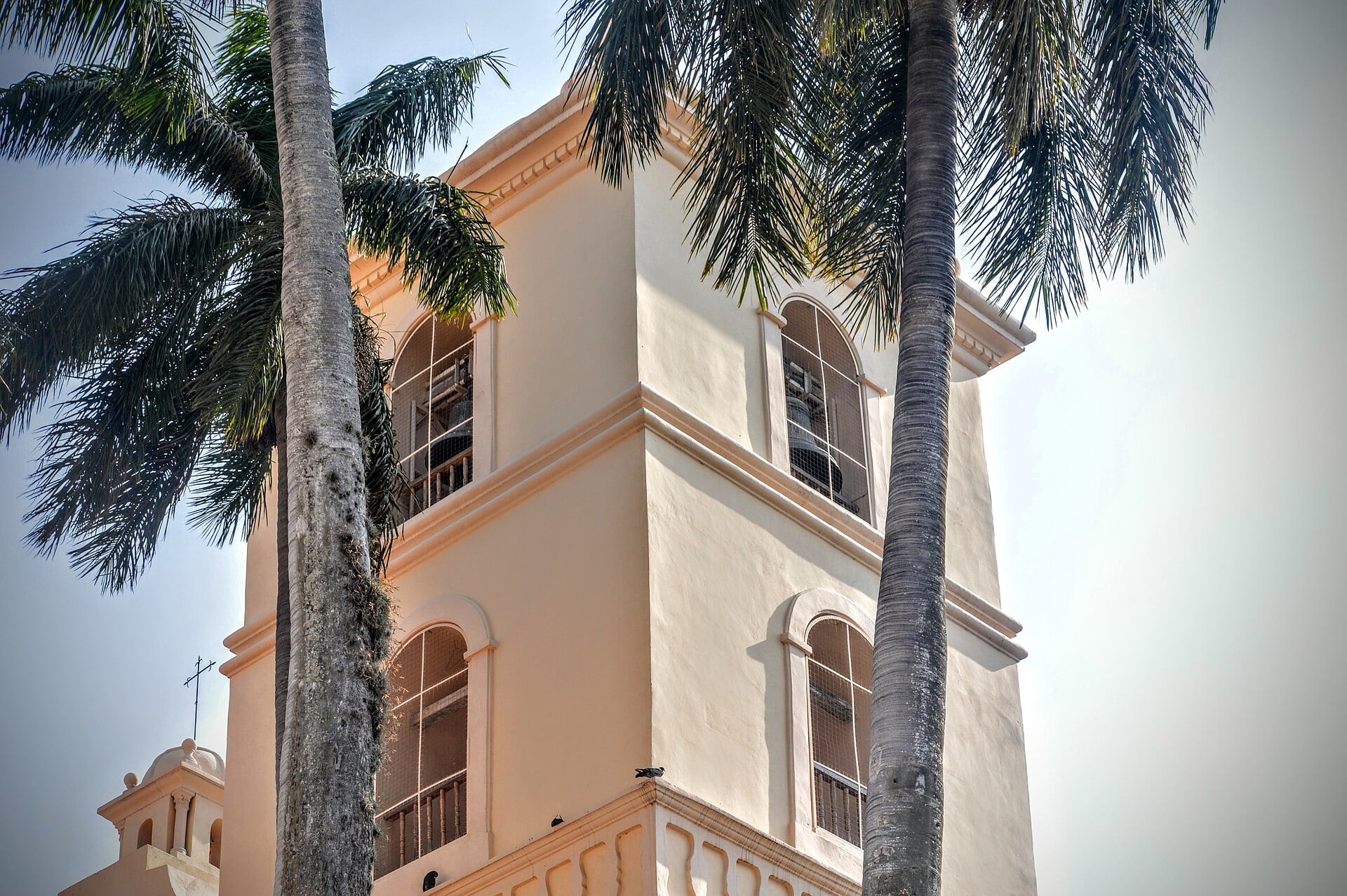 Bell tower of the cathedral in Tegucigalpa, Honduras, between two palm trees