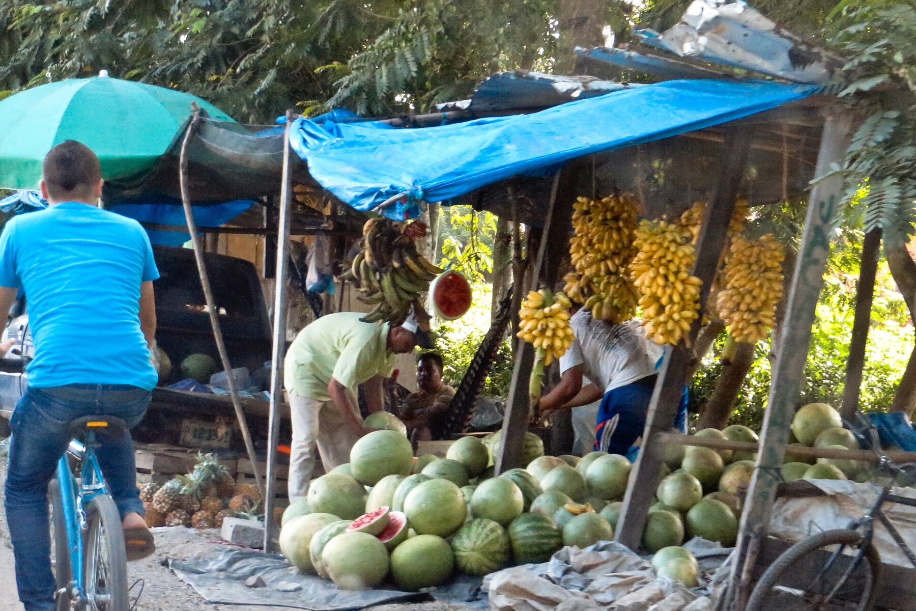 Fruit and vegetable stall with bananas and watermelons in Sabá, Honduras