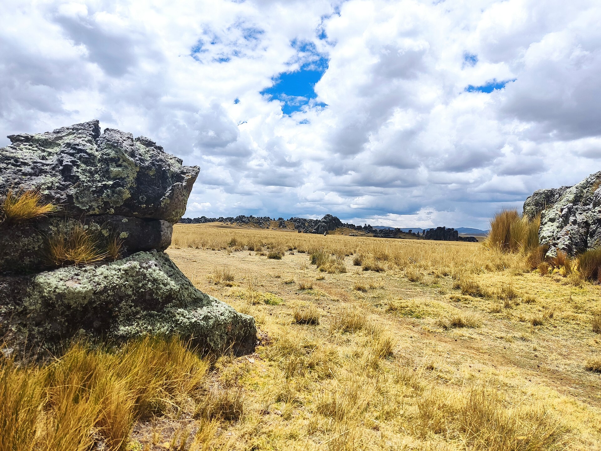 Grassland and rock outcrops on the Huayllay plateau in Pasco, Peru