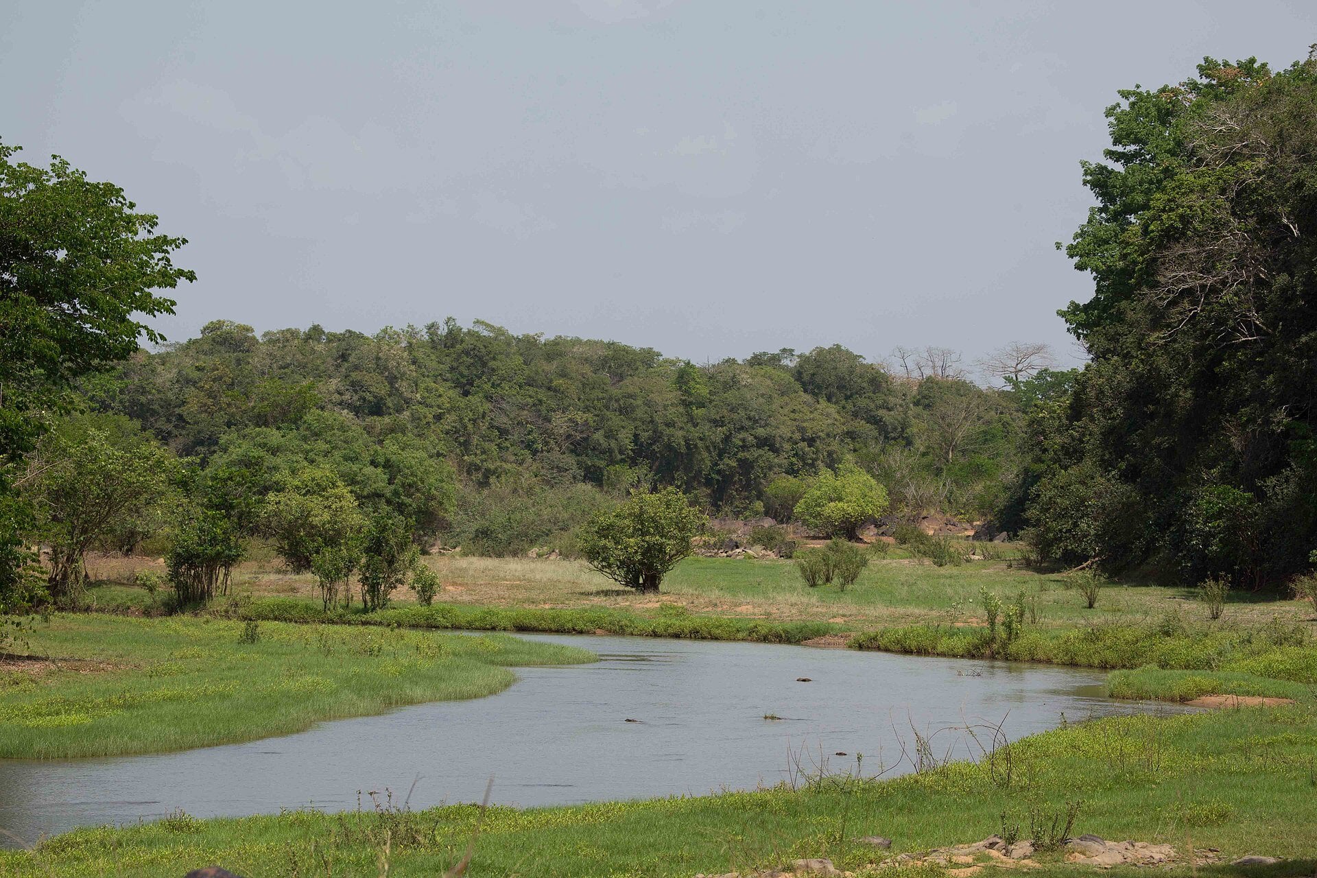 The Comoé River and its green wetlands in Comoé National Park in north-eastern Ivory Coast