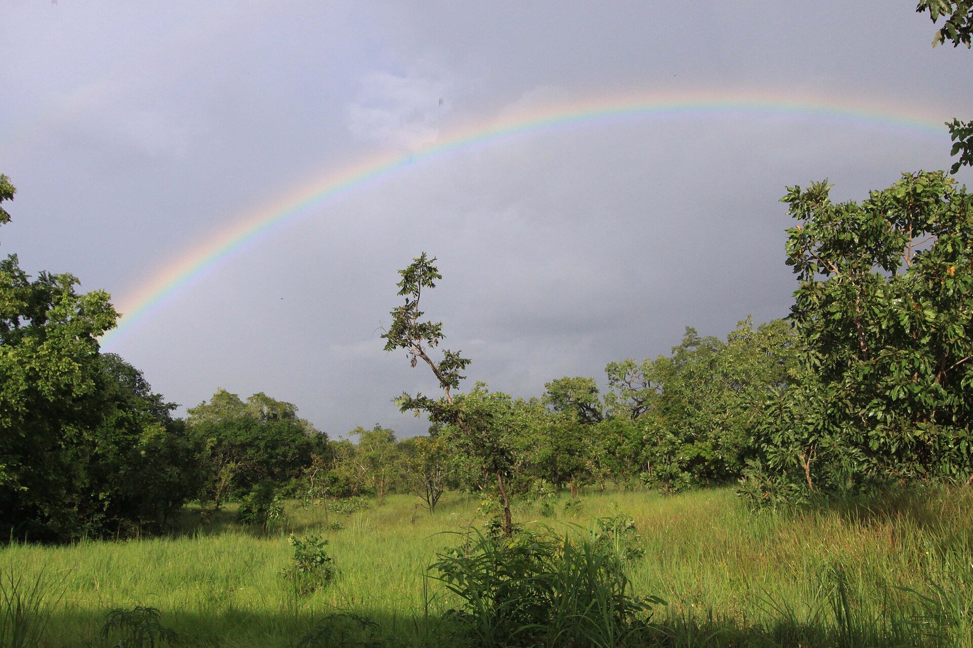 Green savanna woodland under a rainbow in Comoé National Park in north-eastern Ivory Coast