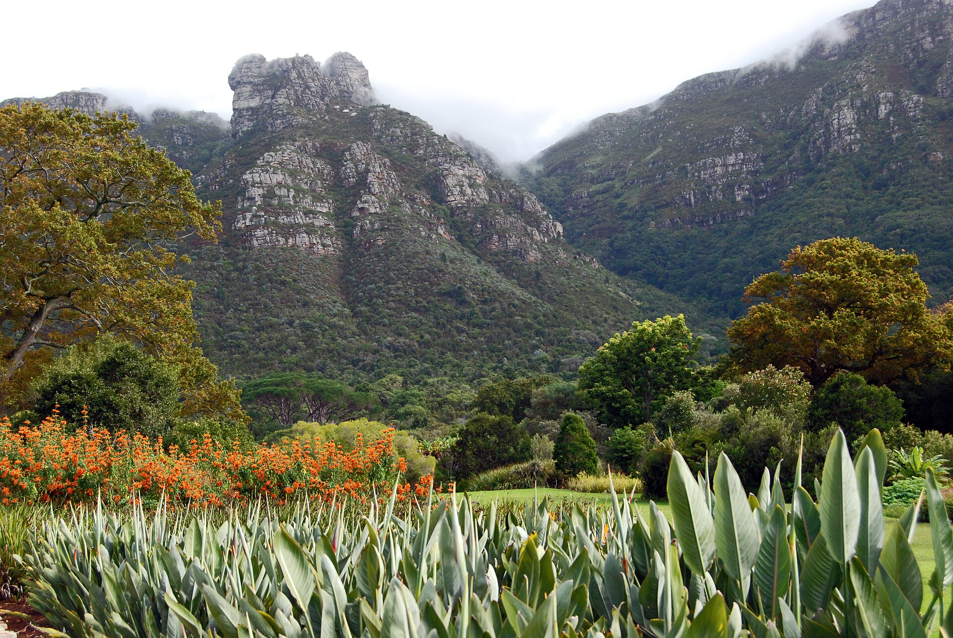 Table Mountain rising above the gardens at Kirstenbosch in Cape Town, where KALEO plays on 4 February 2027