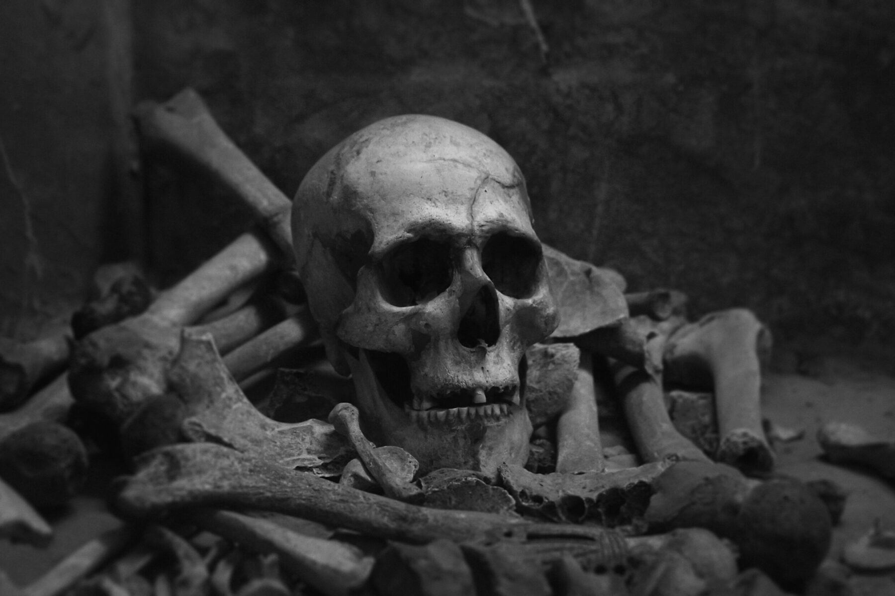 katherine-kromberg-srzu0DevwJo-unsplash-scaled