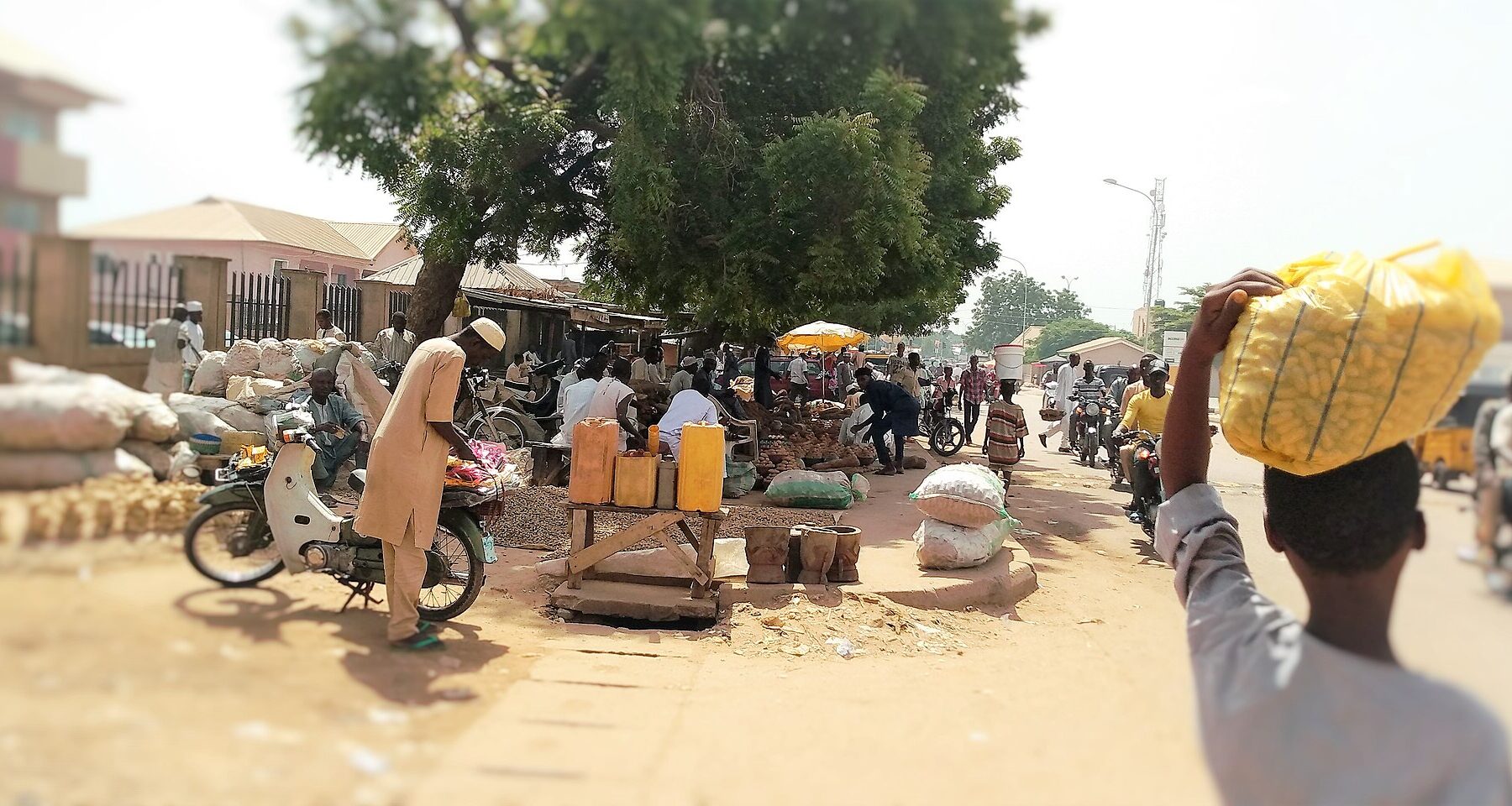 Street market at Kofar Kaura in Katsina, northwest Nigeria, with traders selling produce under a tree