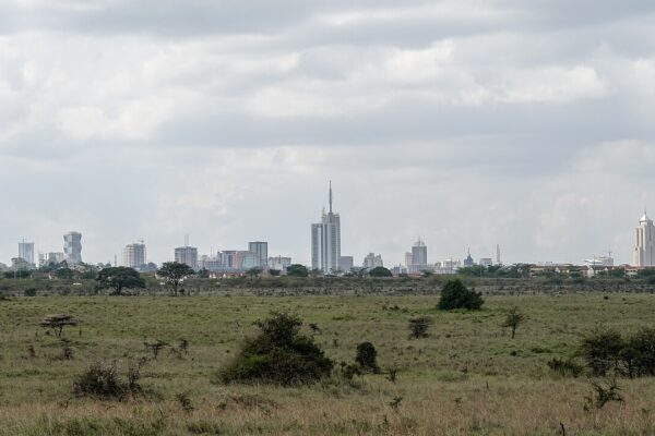 Nairobi's towers rise on the horizon beyond the grass and acacia scrub of Nairobi National Park