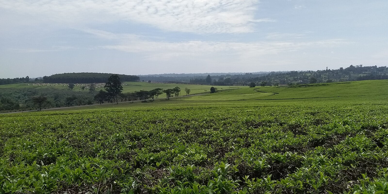 Who Runs Kenya’s Economy, the Key Players in 2026
