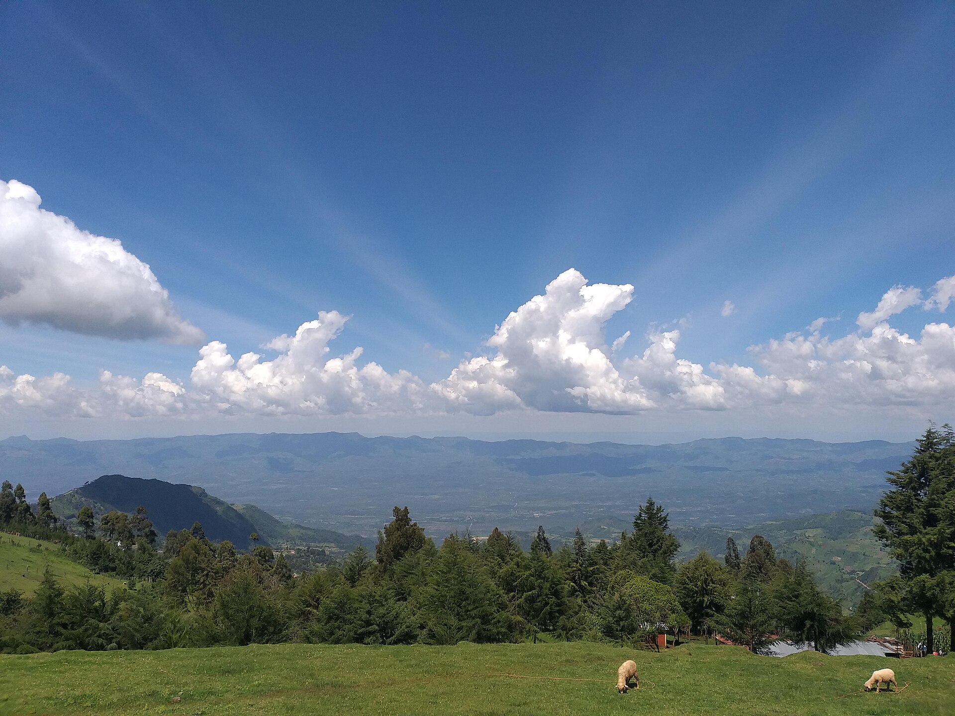 The Kerio Valley seen from a ridge in Kenya's North Rift