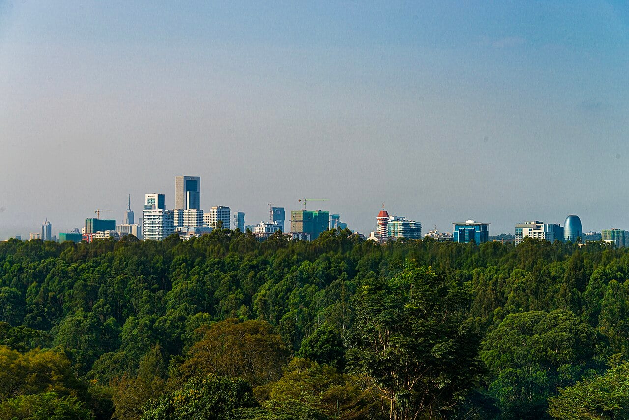 Kenya’s Ndegwa Family Cleared to Buy Back 24% of Insurer ICEA Lion