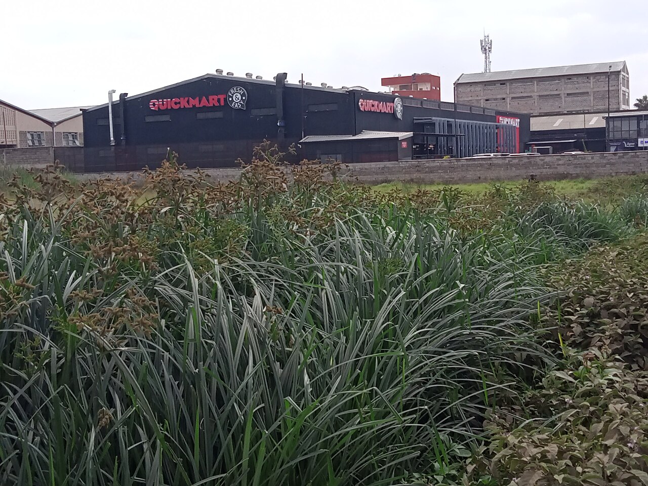 A black warehouse-style Quickmart supermarket with red lettering and a Fresh & Easy badge, seen behind tall green grass