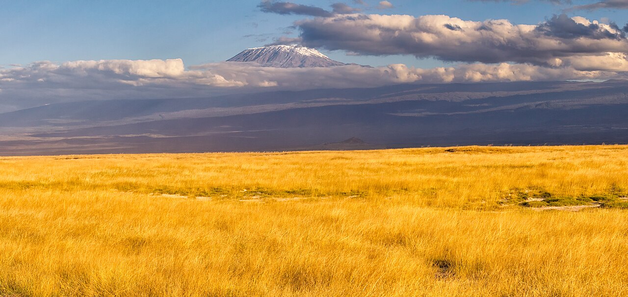 Snow-capped Kibo summit of Mount Kilimanjaro above clouds and a plain of dry golden grass