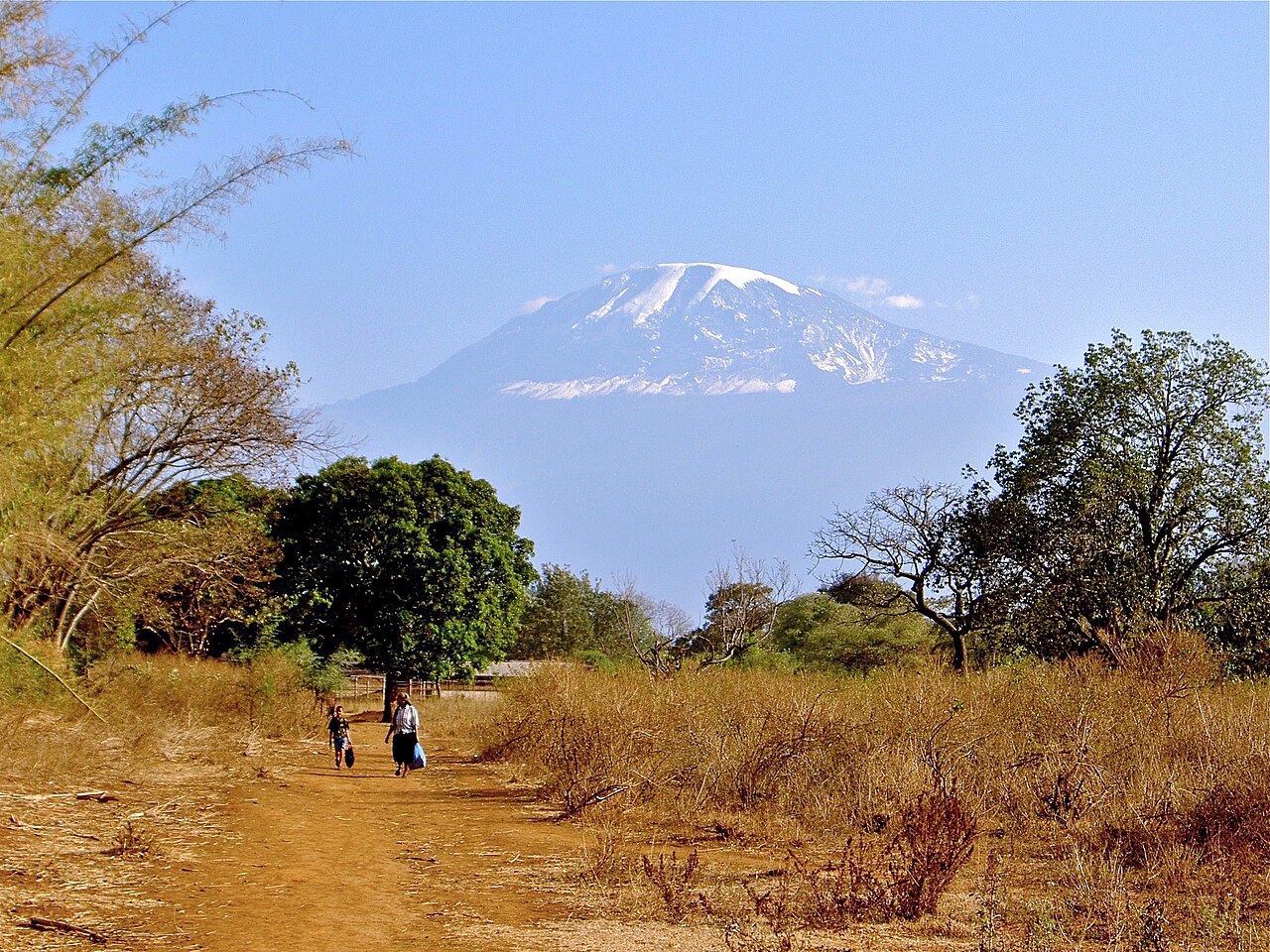 Snow-capped Mount Kilimanjaro rising above trees and a dirt path near Moshi, Tanzania.