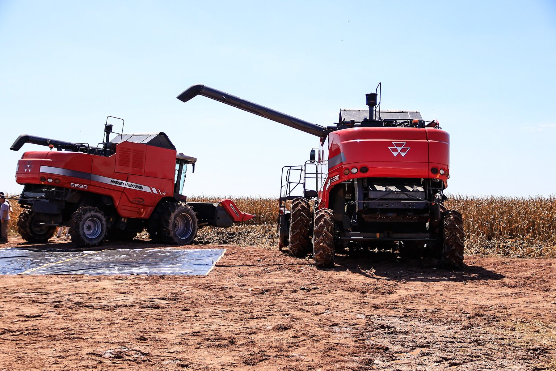 Two red combine harvesters unloading corn in a dry field in southern Brazil under a blue sky