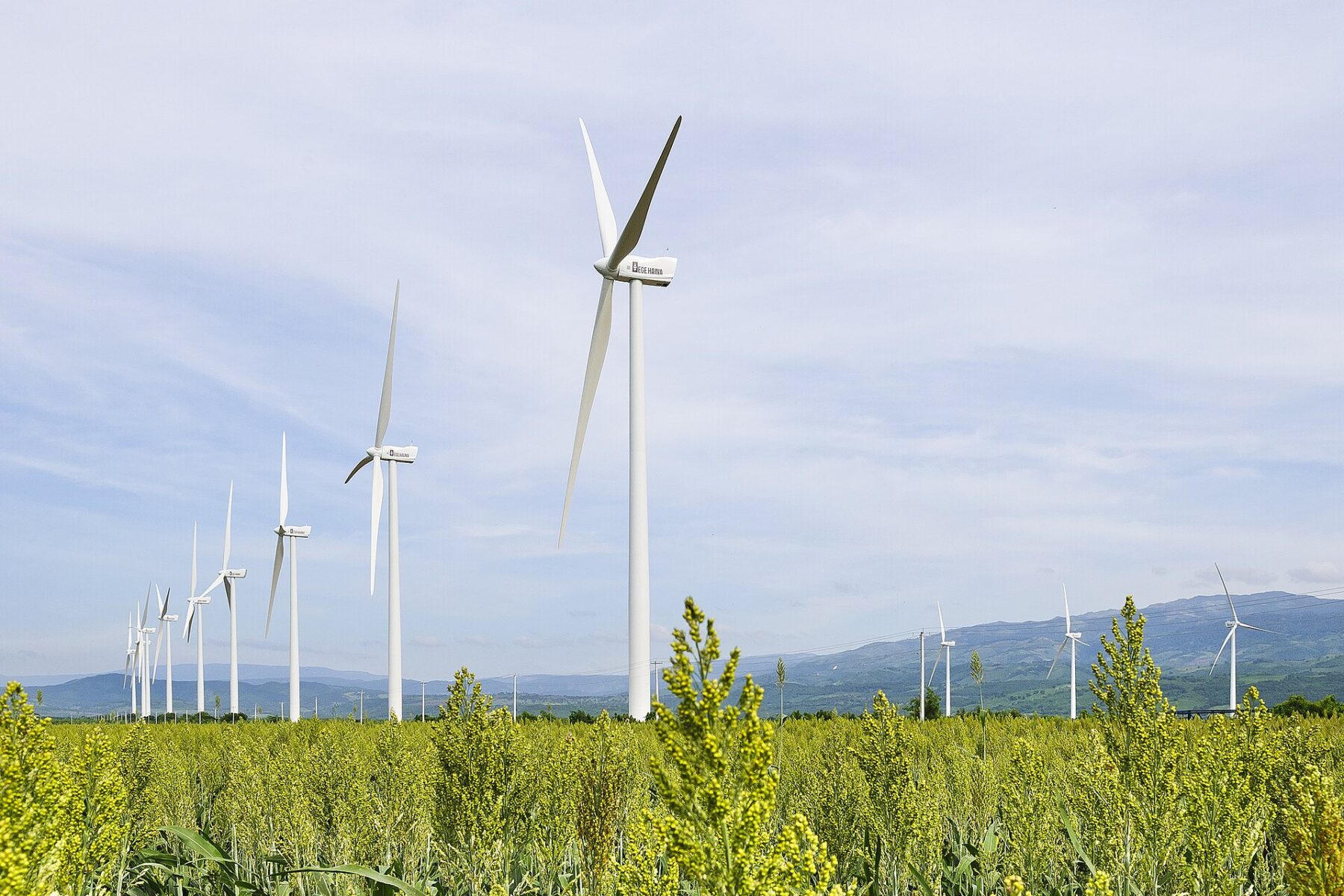 A row of white wind turbines behind a green field under a pale blue sky, mountains in the distance