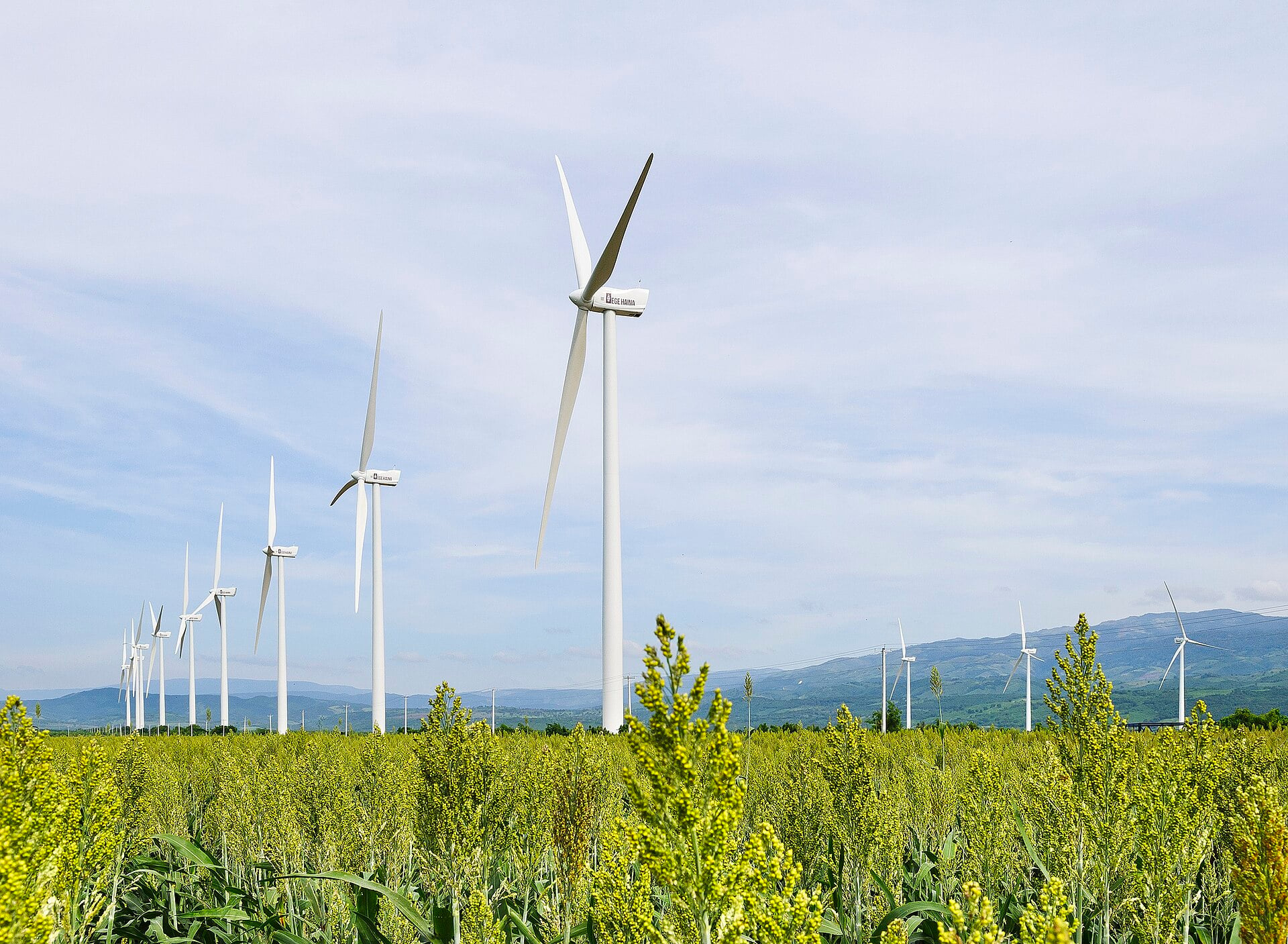 Dominican Republic Says Renewables Drew US$900 Million