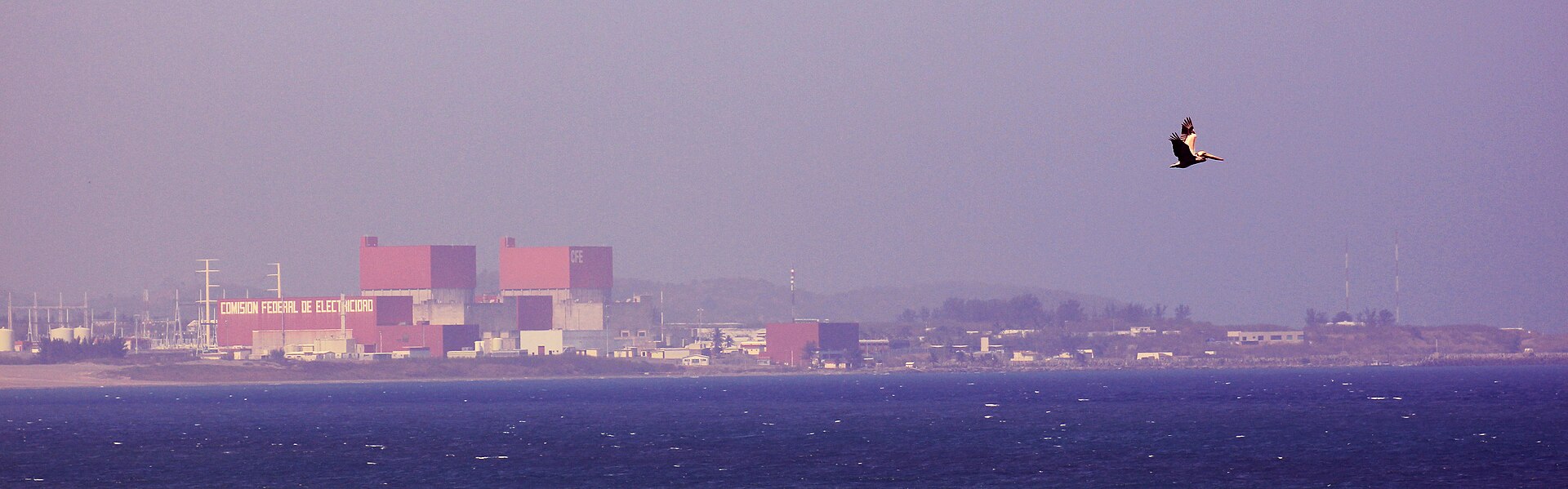 The Laguna Verde nuclear power station seen across the water from the coast, with a pelican in flight, Veracruz, Mexico