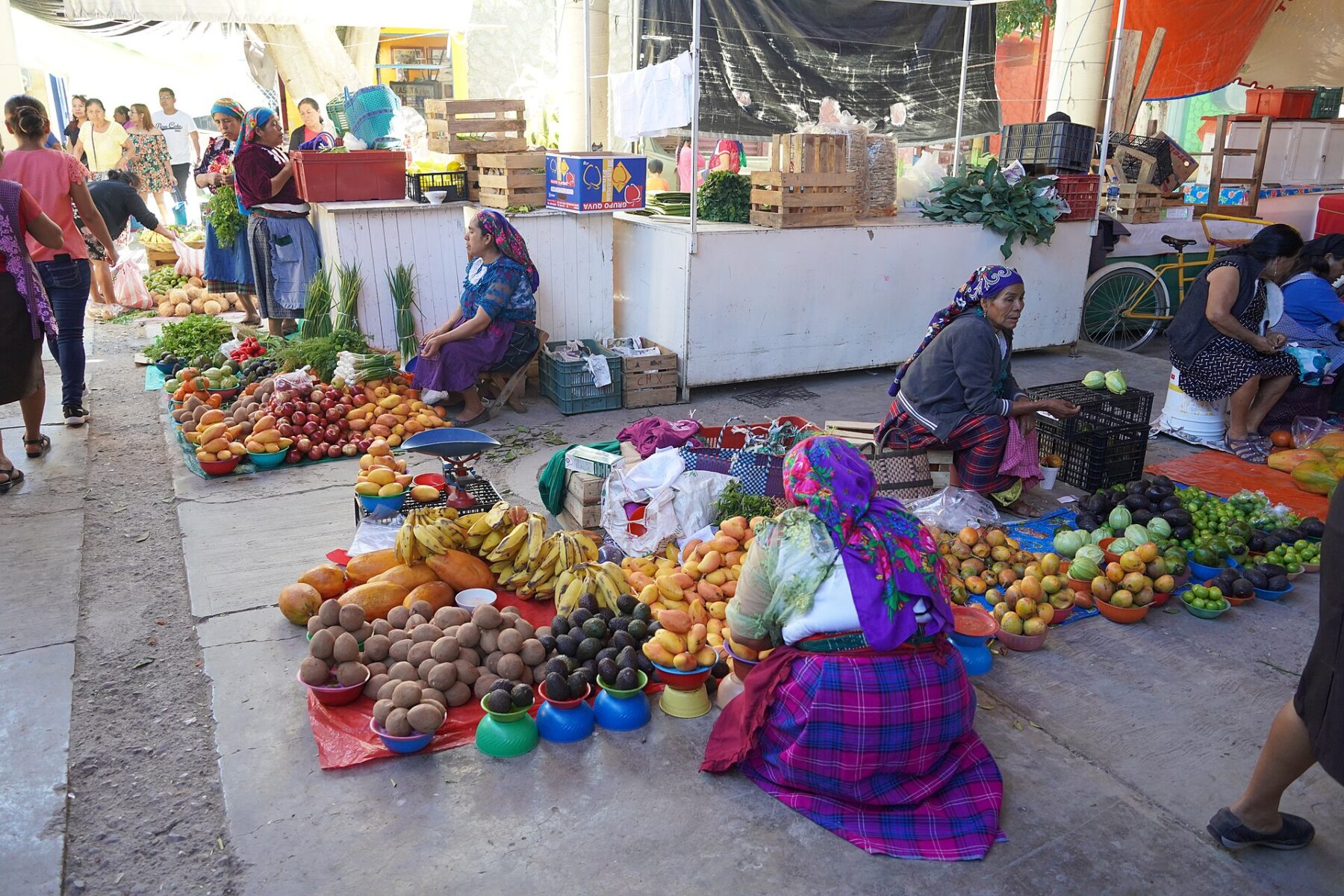 Women vendors sitting behind piles of bananas, mangoes, avocados and other fruit and vegetables at an open-air market, with shoppers and market stalls behind