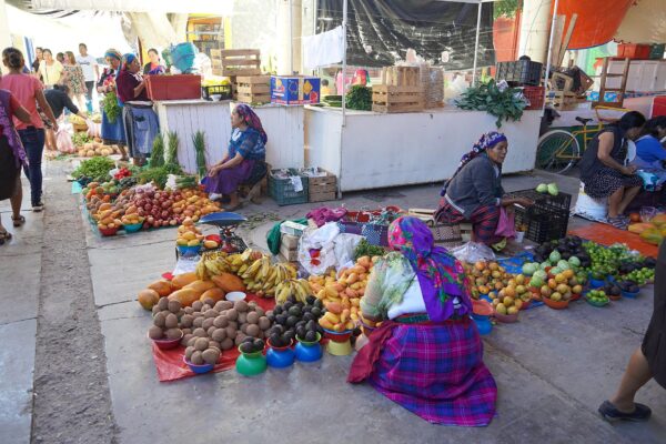 Women vendors sitting behind piles of bananas, mangoes, avocados and other fruit and vegetables at an open-air market, with shoppers and market stalls behind