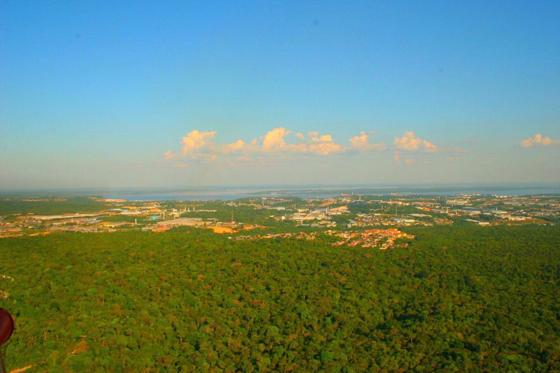 Aerial view of dense green Amazon rainforest meeting the edge of Manaus, with a wide river on the horizon