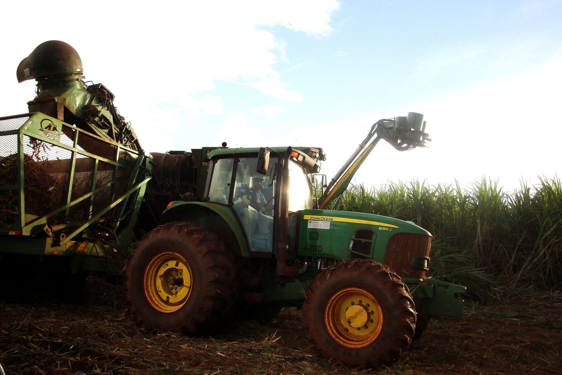 A green tractor pulling a harvester trailer beside a tall sugarcane field under a bright sky in Brazil